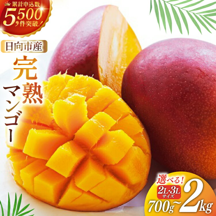 【ふるさと納税】【2026年夏発送】「生産者応援・数量限定」 訳あり 宮崎 完熟 マンゴー 糖度12～14度 選べる 700g～2kg [宮崎県農業協同組合日向地区本部（販売課） 宮崎県 日向市 452060660] 果物 フルーツ 規格外 家庭用 完熟マンゴー 甘い 日向 期間限定 冷蔵