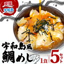 【ふるさと納税】 ＼10営業日以内発送／ 鯛めし 5食 セット 宇和島風 南予ビージョイ 生鯛めし 真鯛 鯛 マダイ タイ tai 刺身 お刺身 刺し身 漬け丼 漬け 海鮮丼 水産 加工品 海鮮 鯛飯 海鮮 人気 海の幸 魚介 冷凍 小分け パック お手軽 便利 国産 愛媛 宇和島 D010-150011