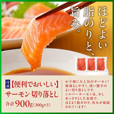 ふるさと納税 泉佐野市 泉佐野 お楽しみ 福袋(牛肉 ステーキ 海鮮 サーモン 野菜)【複数個口で配送】 099S014 |  | 02