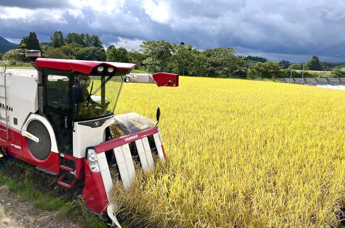 手間暇をかけ丁寧に育てたお米をお届けします