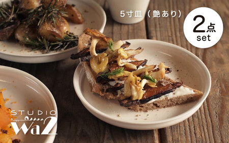【波佐見焼】KINU 5寸皿 2点セット（艶あり）【studio wani】[MB77]