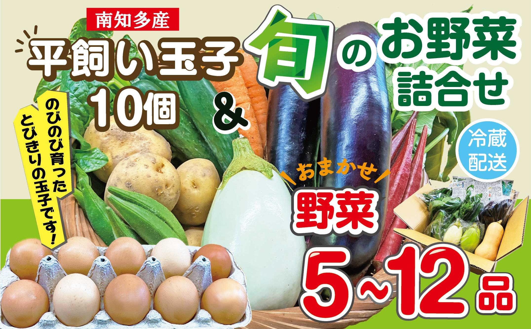 
            【容量が選べる】 野菜セット(5~12品目)&平飼い玉子 10個 セット 旬 季節 卵 南知多産 詰め合わせ 農薬･化学肥料不使用 農家おまかせ 料理 とりのさと農園 愛知県 南知多町
          