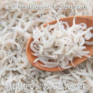 篠島 高級 釜揚げ しらす 干し 700g(70g×10袋) CAS冷凍 小分け しらす チリメンジャコ ちりめん 新鮮 愛知県 南知多町