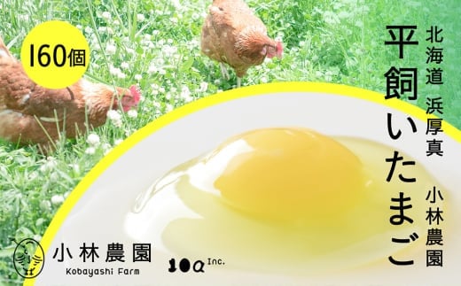 
            こだわりの無投薬･平飼い有精卵 160個《厚真町》【テンアール株式会社】 たまご 卵 鶏卵 玉子 生卵 平飼い 北海道 [AXAN124]
          