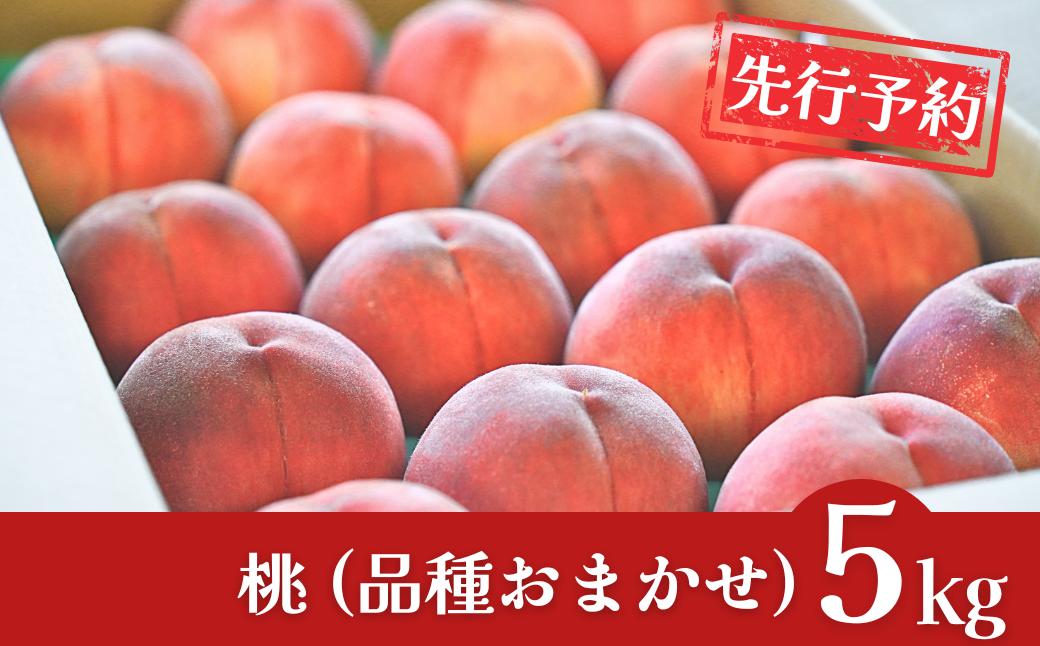 
            先行予約 桃 約5kg [2026年発送分] 令和7年産 新潟フルーツ 新潟県産桃 [石田フルーツガーデン] 【017P021】
          