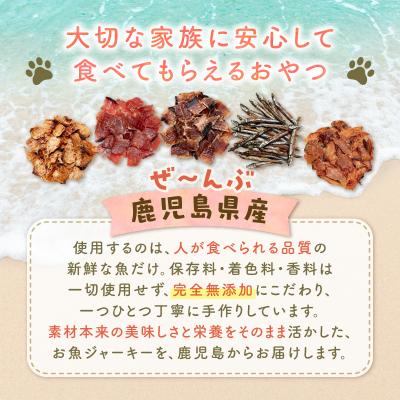 ふるさと納税 鹿児島市 完全無添加 犬猫おやつ お魚キビナゴジャーキー 2袋セット　K413-001_04 |  | 01