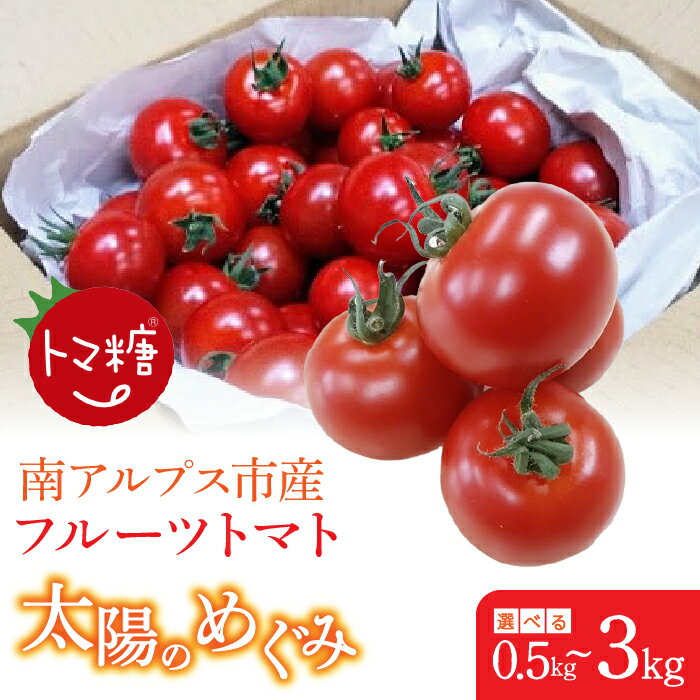 【ふるさと納税】 フルーツトマト「トマ糖＊太陽のめぐみ」フルティカ【選べる容量】0.5～3kg ふるさと納税 トマト 野菜 食べ物 ミニトマト フルーツトマト おすすめ 山梨県 南アルプス市 送料無料 ALPBI