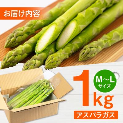 ふるさと納税 糸島市 採れたてを直送!糸島野菜 アスパラガス 1kg (M-Lサイズ) / しろファーム [AHQ001] |  | 03
