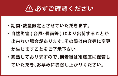 ＜宮崎県産 完熟マンゴー 4L×2玉(合計 約1kg)＞ ※2024年5月上旬～7月中旬迄に順次出荷【c793_dm_x3】