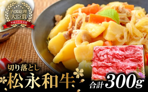 松永和牛 切り落とし 300g【牛肉 切り落とし 和牛 黒毛和牛 切落し 300g 肉 松永和牛 まつなが牛 冷凍】