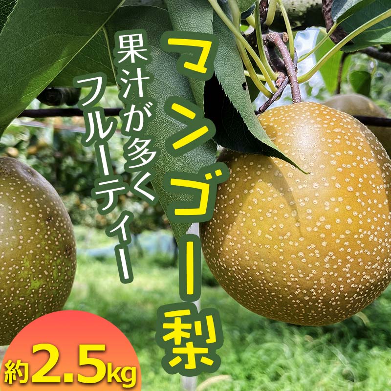 【ふるさと納税】《先行予約》 マンゴー梨（王秋梨）熊本県 球磨村 なし ナシ 和梨 和なし 和ナシ ブランド梨 フルーツ 梨 期間限定 果物 くだもの 旬の果物 デザート 数量限定 FKP9-652