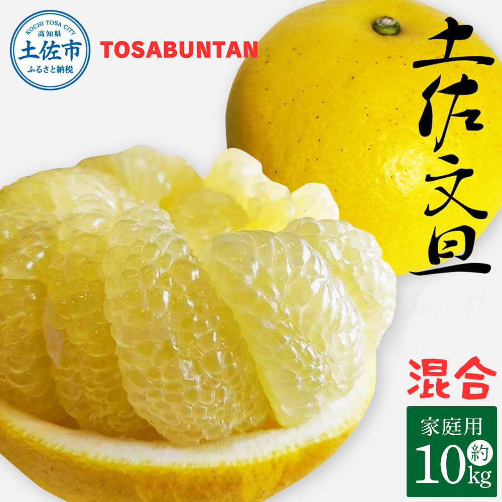 ＜2026年3月より順次発送＞土佐文旦 家庭用 10kg 17～24玉入り L～3Lサイズ混合