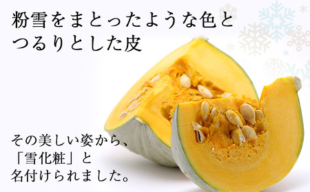 【秋山農園】かぼちゃ　雪化粧2個入り 南瓜 ほくほく 野菜 旬 秋野菜 北海道ふるさと納税