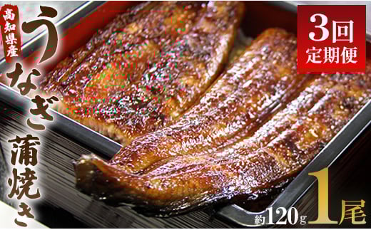 うなぎ 定期便 3回 うなぎ蒲焼き120g 1尾(無頭) 魚介 国産 海鮮 魚 かばやき 鰻 ウナギ 惣菜 おかず お手軽 加工品 加工食品 冷凍 Wun-0020