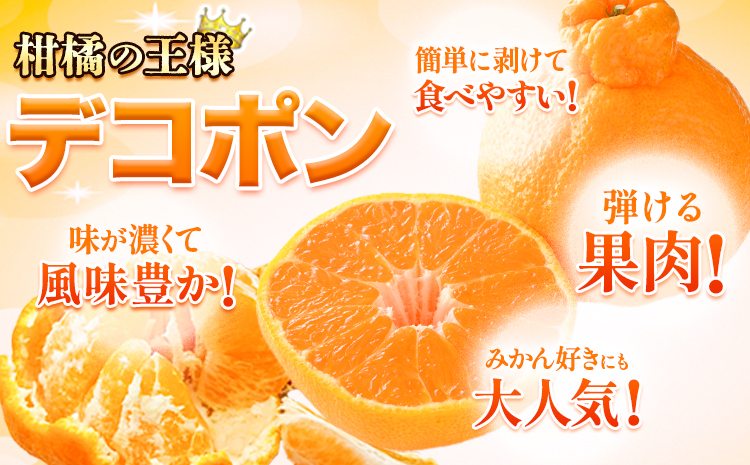 【先行予約】デコポン ご家庭用 デコポン 約2kg 前後 (約4-10玉前後) 糖度13度以上 訳あり デコポン 《2026年2月上旬-4月末頃出荷》 個別光センサー選果 みかん 柑橘 フルーツ 旬 