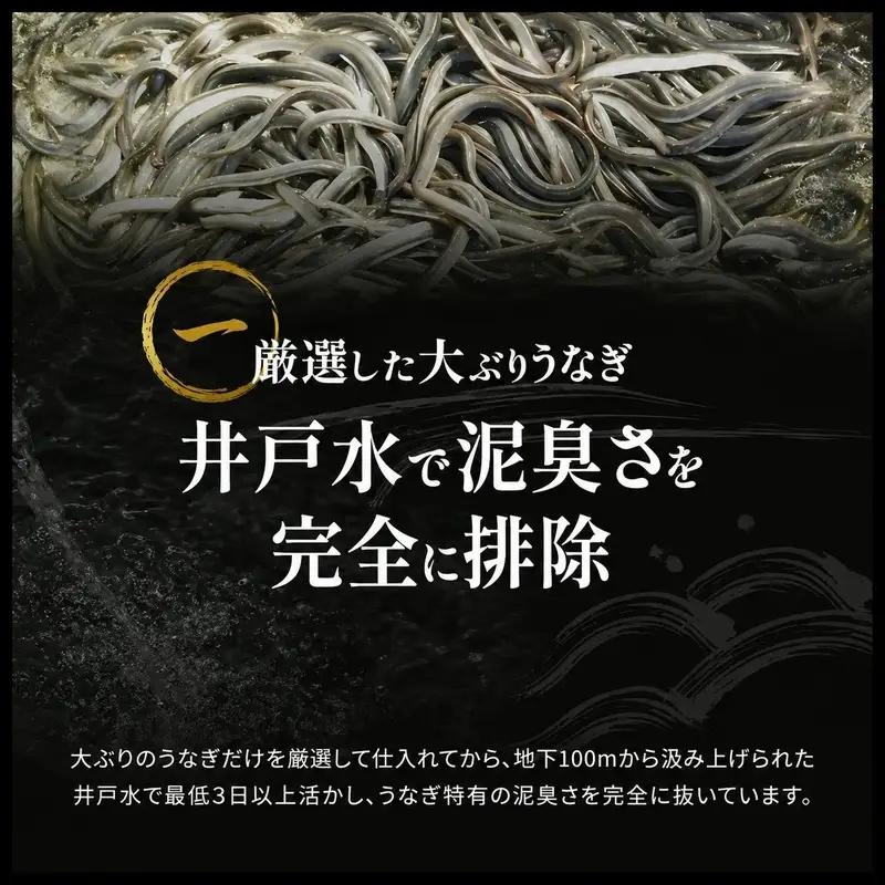 うなぎ 蒲焼 5尾 160g×5 タレ 75ml×2 山椒付 うなぎ