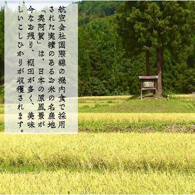 ふるさと納税 阿賀町 【令和7年産】新潟県奥阿賀産こしひかり10kg(5kg×2) |  | 02