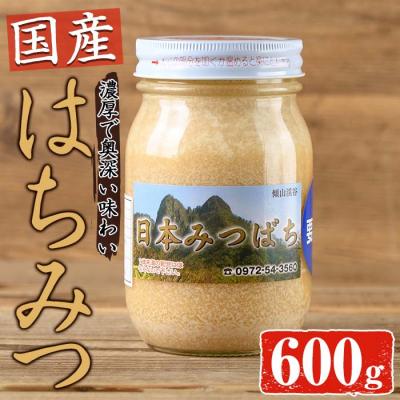 ふるさと納税 佐伯市 国産 はちみつ (600g) 多賀さん採蜜