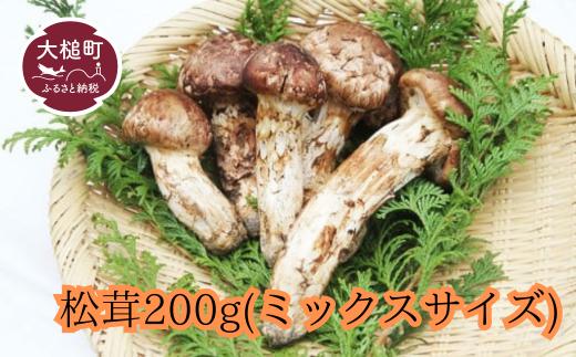 
            【令和7年10月より発送 先行予約】大槌産 まつたけミックスサイズ200g 【35】松茸 国産 岩手 岩手県 土瓶蒸し 松茸ごはん マツタケ 初栄丸
          
