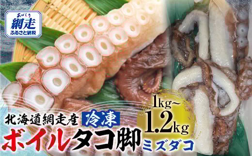 
            【無添加・訳あり】活締め網走産冷凍ボイルタコ脚（ミズダコ）1〜1.2kg 【 ふるさと納税 人気 おすすめ ランキング タコ タコ脚 ミズダコ みずだこ ボイル 訳あり 冷凍 海鮮 新鮮 オホーツク 北海道 網走市 送料無料 】 ABAE015
          
