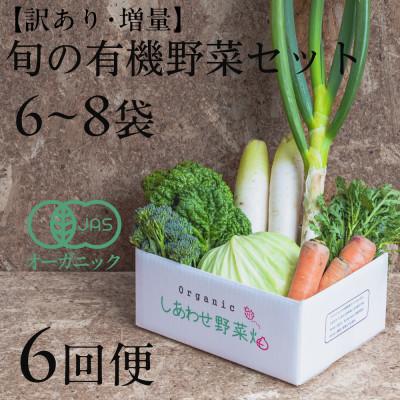 ふるさと納税 掛川市 【毎月定期便】しあわせ野菜畑のシェフS セット　(訳あり規格外の有機野菜を一部使用)全6回