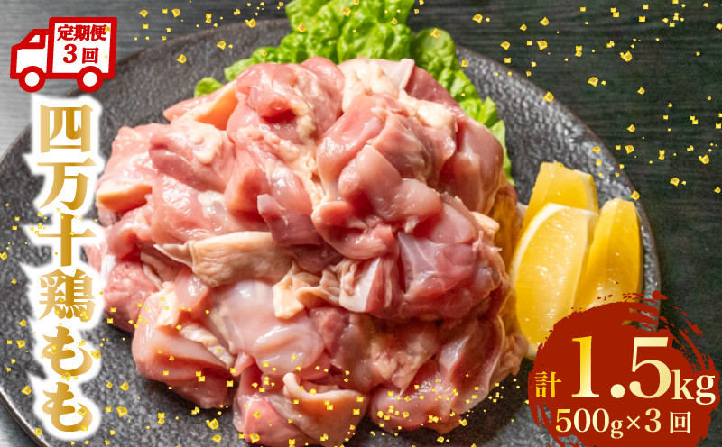 
            【定期便3回】銘柄鶏 四万十鶏 もも肉 計1.5kg（500g×3ヶ月連続お届け) 4Uコース | 切身 カット 時短 小分け カット済み 鳥肉 とりにく 鶏もも 冷凍 国産 ブランド 唐揚げ 煮物 鍋 チキン 南蛮 高知県 須崎市 TM101000
          