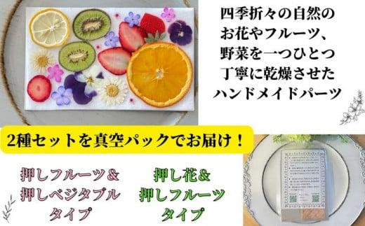 ハンドメイドパーツ 2種セット（押し花・押しフルーツ、押しベジタブル） 送料無料 ｜花　真空パック　セット　レジン　コラージュ　花材　素材　キット　DIY