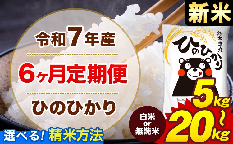 
            【6ヶ月定期便】新米 令和7年産 無洗米 も選べる 白米 米 ひのひかり 5kg 10kg 15kg 20kg《1月から出荷開始》熊本県 菊池市 国産 熊本県産 白米 精米 無洗米 送料無料 ヒノヒカリ こめ お米 
          