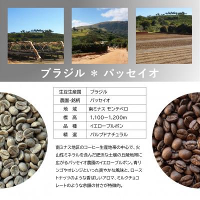 ふるさと納税 上毛町 風味際立つ手鍋焙煎コーヒー豆(南米編) 200g×2袋 |  | 02