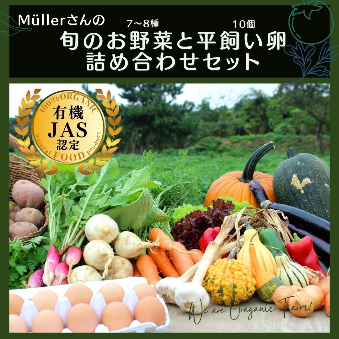 季節の野菜詰め合わせ（7～8種）と平飼い卵セット！農薬不使用だから安心安全！