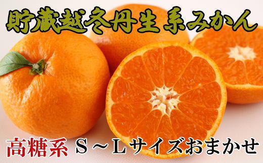 
            ［高糖系］貯蔵越冬丹生系みかん約5kg（S～Lサイズおまかせ）★2026年2月下旬頃より順次発送
          