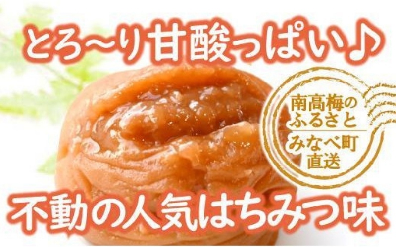 特選A級 紀州南高梅 はちみつ漬800g 千年の知恵 梅干し ブランド梅 和歌山県産 【hoso002A】
