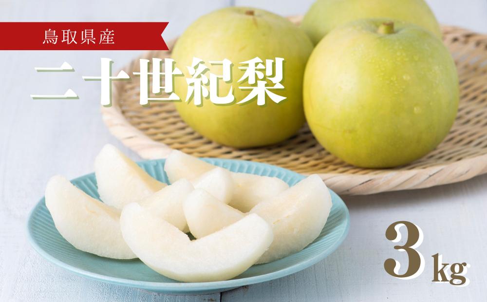 
            【先行予約】二十世紀梨（3kg）｜鳥取 梨 ナシ 果物 フルーツ【41002】
          