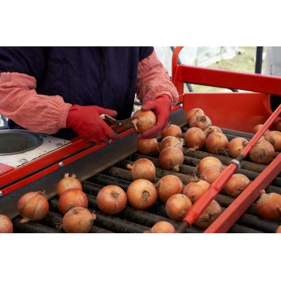 UNO ORGANIC FARM　北海道訓子府産　オーガニック玉ねぎ　20kg　【有機JAS認証】【配送不可地域：離島・沖縄県】