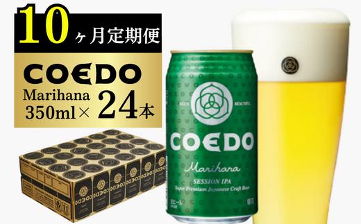 
＜10ヶ月定期便＞コエドビール 缶24本【 毬花 】(350ml×24本)計8400ml【 COEDO コエド クラフトビール 地ビール ビール お酒 BBQ 宅飲み 家飲み 晩酌 東松山 】
