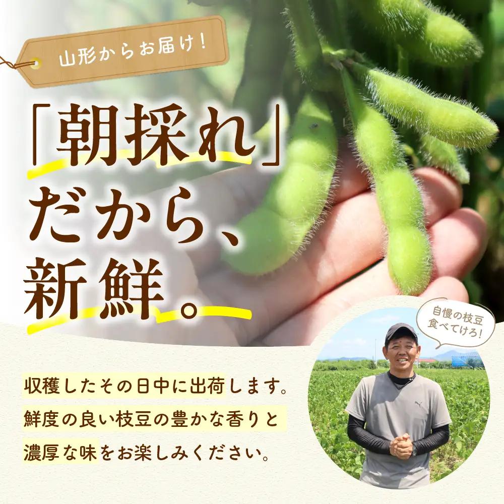 【2026年産】 枝豆 「 秘伝豆 」 1.5kg 枝豆