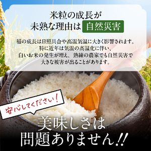 1-4 【年内配送12月15日入金まで】訳あり 北海道ブレンド米 2合(300g) 簡易包装 お試し within2025