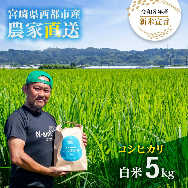 【ふるさと納税】【令和8年産 新米 先行予約】こしひかり 5kg 【※8月上旬以降順次発送予定】　精米済み＜57-1a＞白米 早場米 夏収穫 コシヒカリ 米 送料無料 農家直送