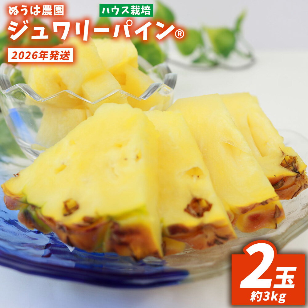 【ふるさと納税】ハウス栽培　ジュワリーパイン　2玉（約3kg） 2026年発送 沖縄県産 東村 パイナップル ジューシー 希少 高級フルーツ 南国フルーツ 国産フルーツ 農家直送 パイン 果物 贈り物 おすすめ お土産 人気 やんばる 大自然 南国気分 沖縄本島北部
