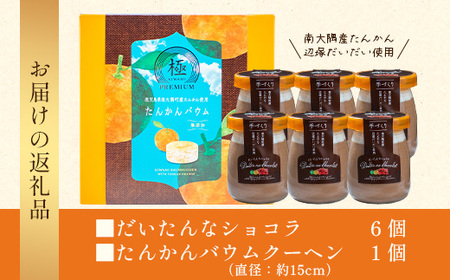 【2026年3月中旬から発送】 だいたんな！恋するショコラ & バウムセット(だいたんなショコラ6個＋≪極≫たんかんバウム）SH-4| たんかん ソース ムース チョコレートムース ショコラ贅沢 スイ