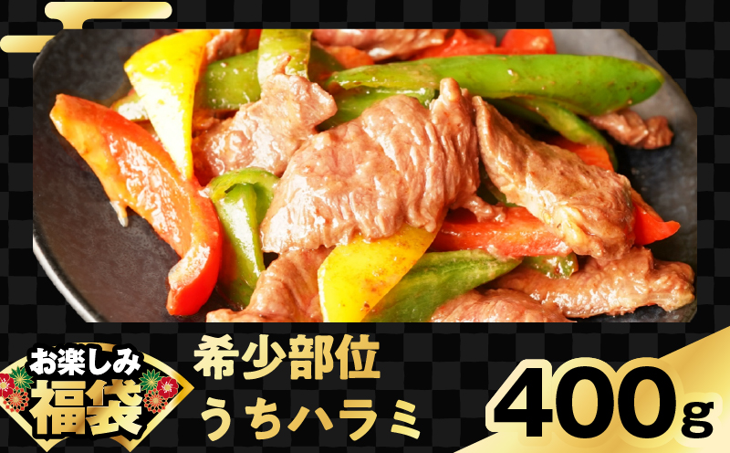 お楽しみ福袋 4種 2kgセット（牛肉 切り落とし／牛ハラミ／豚肉 スペアリブ／鶏肉）【氷温熟成×極味付け 焼肉 焼くだけ 食べ比べ お楽しみ 簡単調理 期間限定】 mrz0090