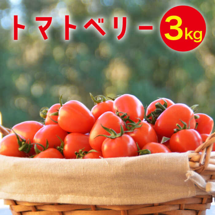 【ふるさと納税】【2025年12月～発送】トマトベリー 3kg / ミニトマト トマト トマトベリー とまと 野菜 サラダ プチトマト 野菜 産地直送 予約 3kg 送料無料 / 南島原市 / 長崎県農産品流通合同会社 [SCB030]