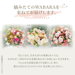 マンスリーブーケ 10本 １年間お届け（12ヶ月）Rose Farm KEIJI ふるさと納税 デザインが毎月変わる マンスリーブーケ ブーケ 花束 贈り物 WABARA 10本 わばらの枝