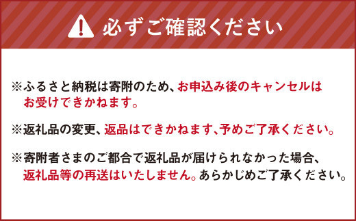 【有機JAS認定】【3ヶ月隔月定期便】 季節の野菜詰め合わせ ～有機野菜セットA～ 10種類～12種類 季節 野菜 野菜セット 有機野菜 有機 詰め合わせ セット