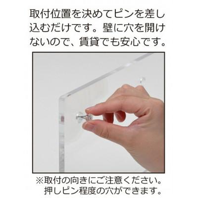 ふるさと納税 海南市 アクリリック ウォールシェルフ W38浅型(2個組)  AKU1023204 |  | 01