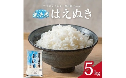 令和7年産【無洗米】庄内産 はえぬき　5kg(5kg×1袋) SA SA2850