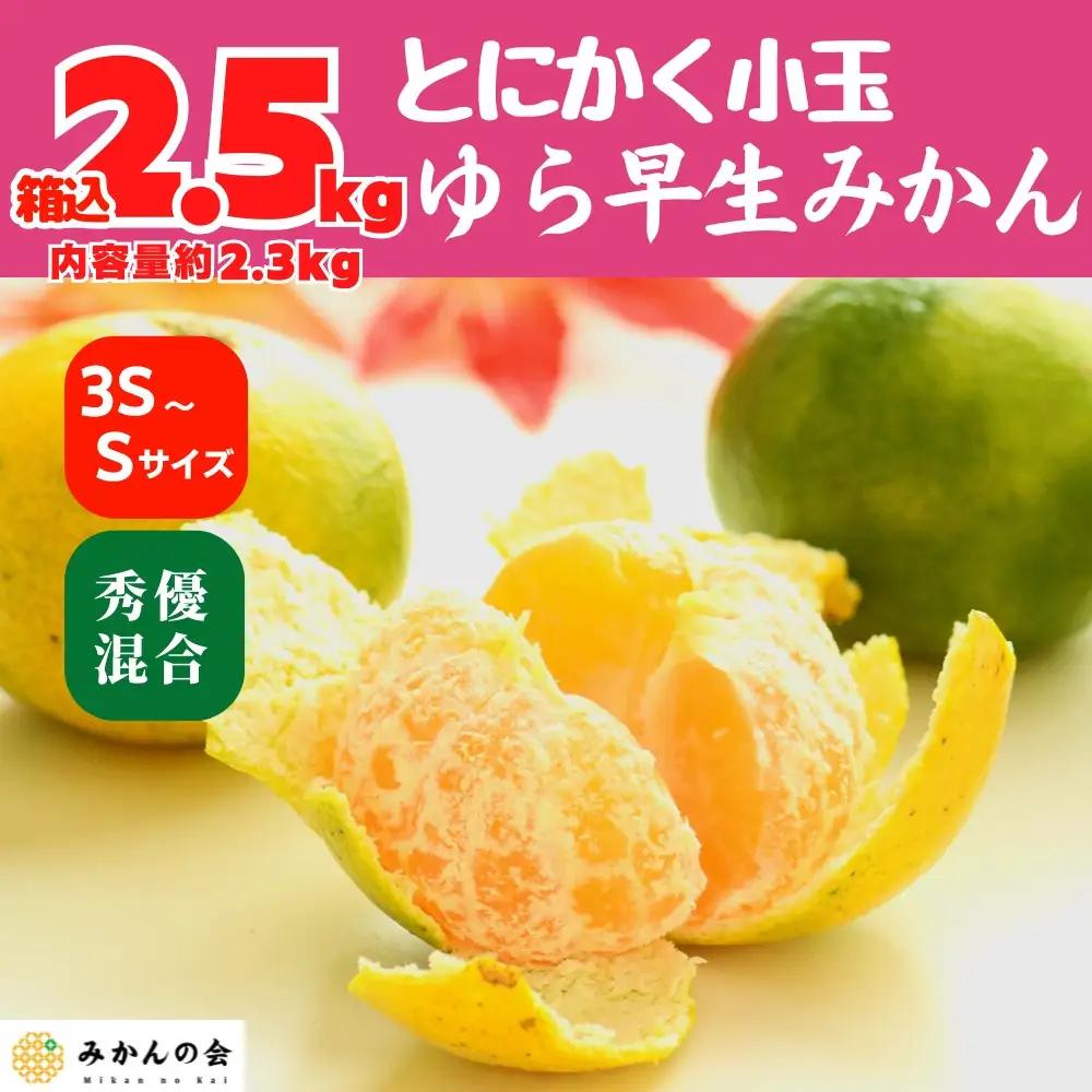 ゆら早生 みかん 小玉ちゃん 箱込2.5kg(内容量 2.3kg) 3S～Sサイズ混合 秀優混合 有田みかん 和歌山県産 【みかんの会】［2026年10月下旬頃より順次発送予定］