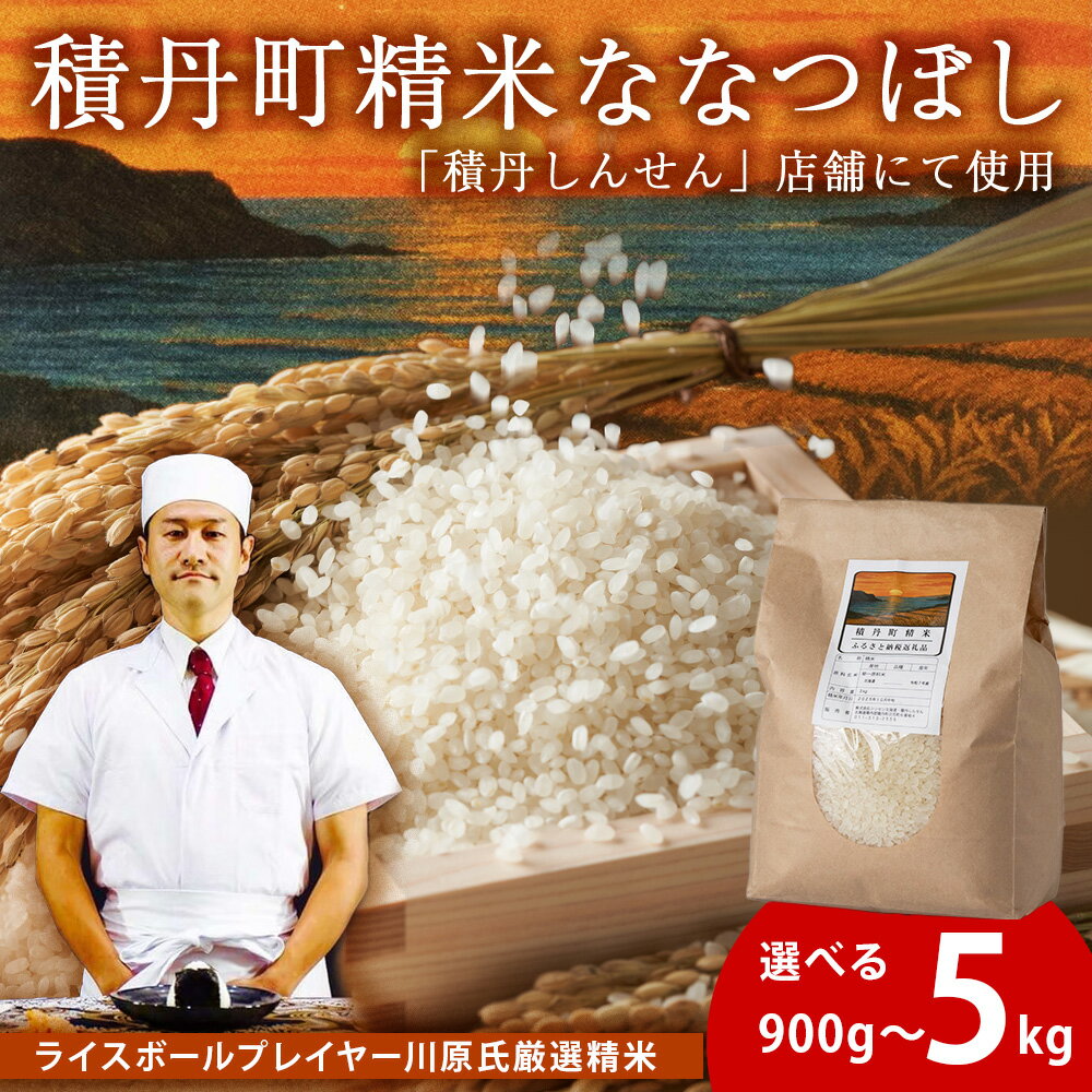 【ふるさと納税】積丹精米のお米（300g×3袋）ななつぼし 選べる900g～5kg 新米 選べる発送月北海道ふるさと納税 積丹町 ふるさと納税 こめ 北海道産お米 北海道米 美味しいお米 北海道産米 道産米