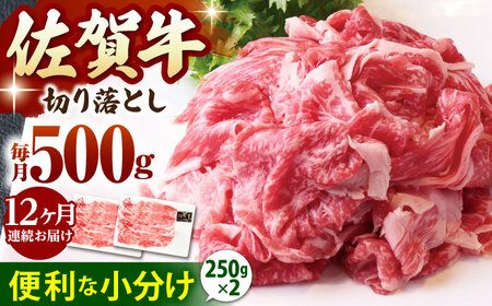 【全12回定期便】佐賀牛 A5 切り落とし 500g（250g×2パック）  [HAD158] 佐賀牛