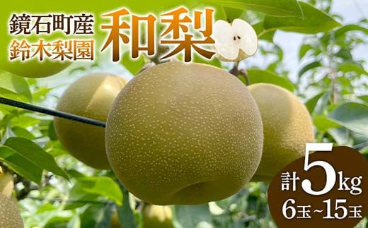 
            鏡石町産 和梨 5kg（6玉～15玉） なし ナシ フルーツ 果物 福島県 鏡石町 F6Q-122
          